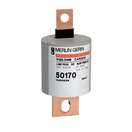 50170 cartouche Cardew - type C - 250 V